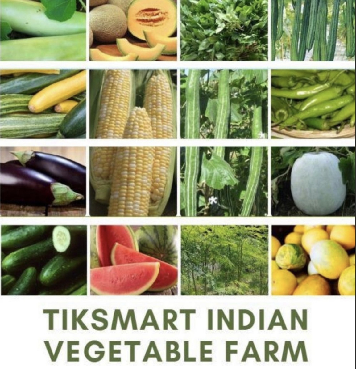 TIKSmart Gongura and Indian Vegetable Farm, NJ