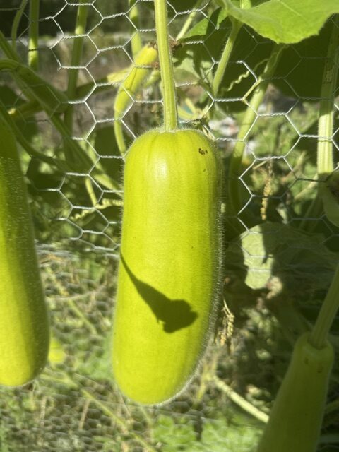 TIKSmart Farms photo gallery
